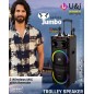 U&I Trolley Speaker, 2 Wireless MIC with Remote