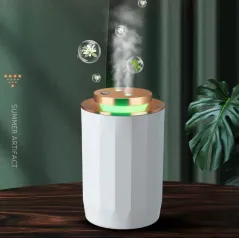 Muilti Functional Humidifier