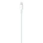 Apple Cable Usb C To Lightning 1 Mtr
