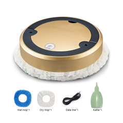 Hamilton Spray Mopping Robot