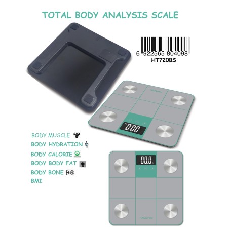 Hamilton Body Analyzer Scale