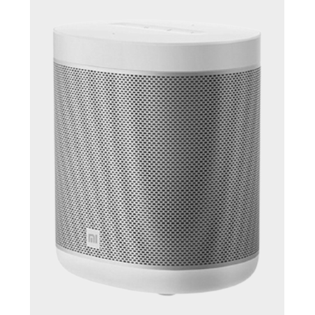 Mi Smart Speaker