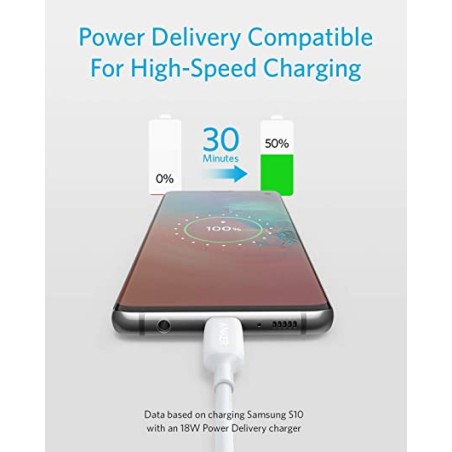 Anker Powerline III USB-C TO USB-C 2.0 Cable 3FT White