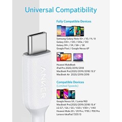 Anker Powerline III USB-C TO USB-C 2.0 Cable 3FT White